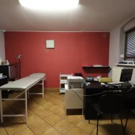 Lokal na wynajem